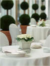 Arts Ritz Carlton 